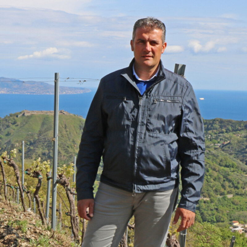 Tenuta Gatto